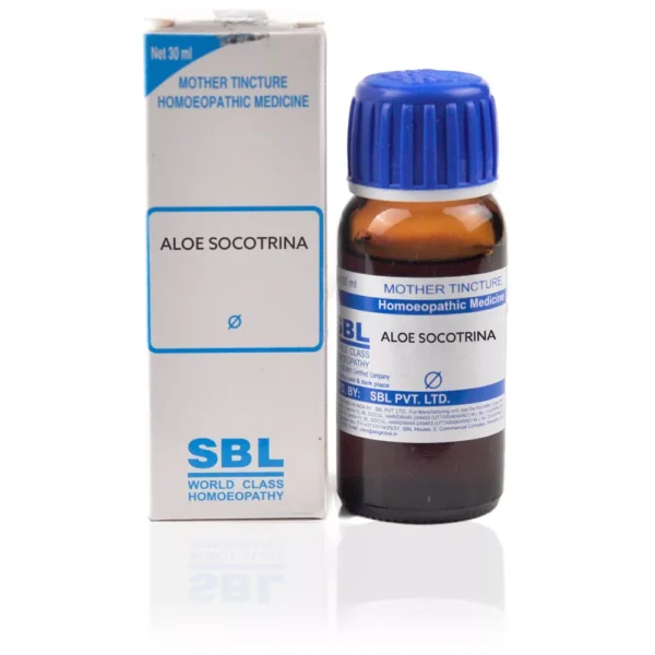 SBL Aloe socotrina 1X Q