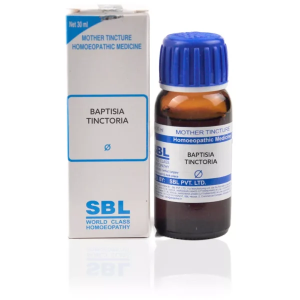 SBL Baptisia tinctoria 1X Q