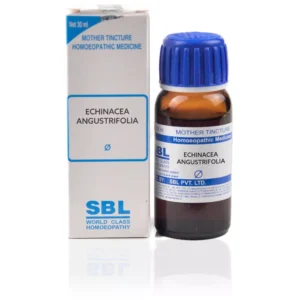 SBL Echinacea angustifolia 1X Q