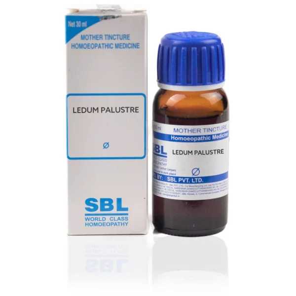 SBL Ledum palustre 1X Q