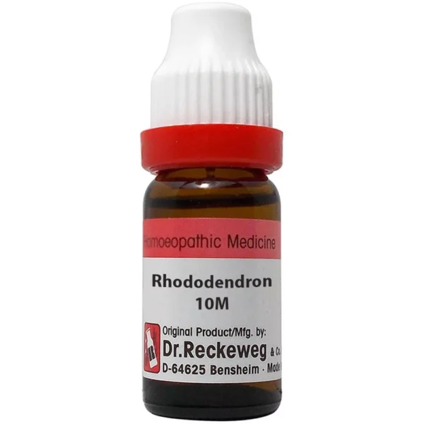 Dr Reckeweg Rhododendron