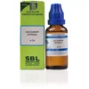 SBL Saccharum Officinale